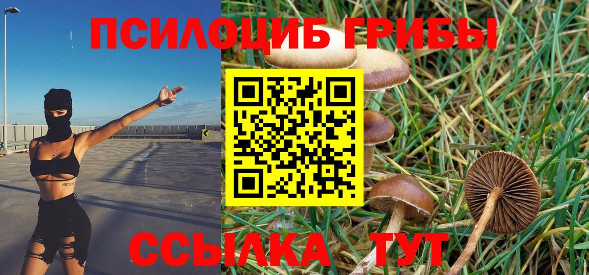 Галлюциногенные грибы Magic Shrooms  Вход с VPN  Старая Русса 